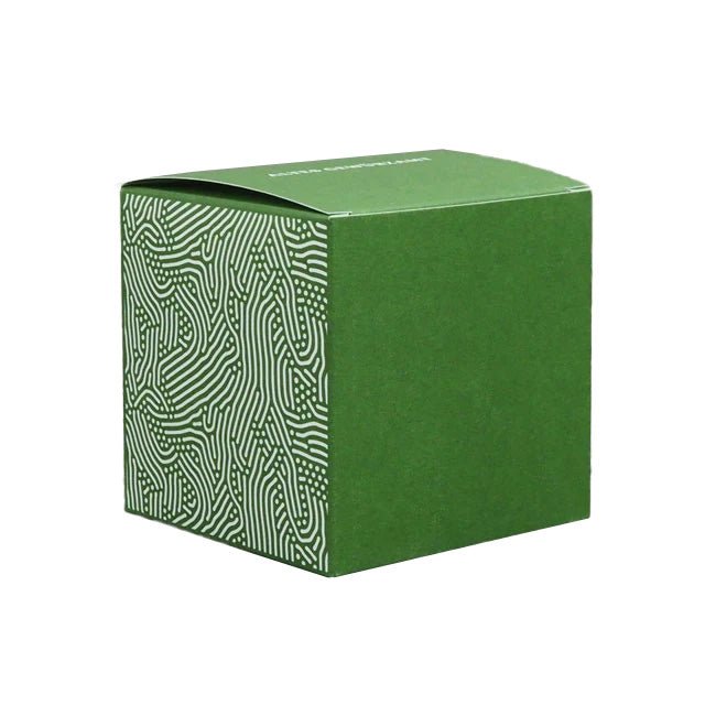 altes-gew-rzamt-serie-faltschachtel-gro-e-dose-8x8x8 image 2